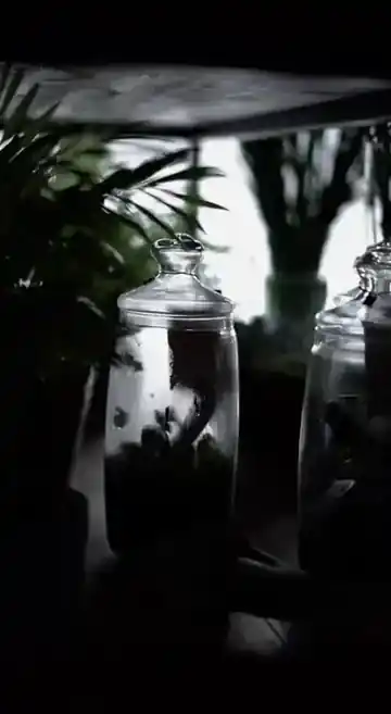 Флористическая мастерская Дверь в Лето — процесс создания авторского букета