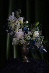 Пока дышу, надеюсь (Dum spiro,spero) 10435