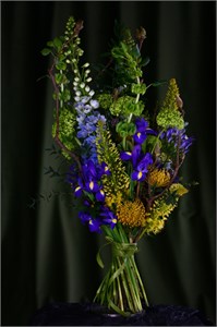 Золотая середина (Aurea mediocritas) 10437